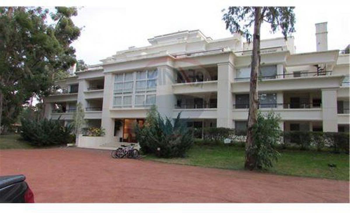 Studio in Maldonado, Uruguay No. 12351