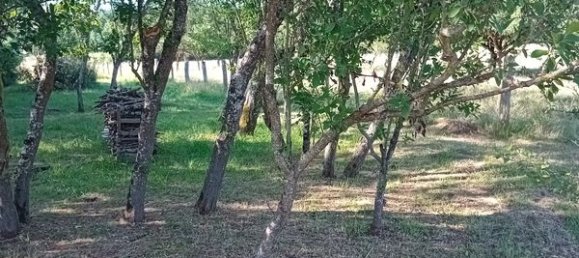 4 Schlafzimmer Haus in Meurthe-et-Moselle, France, Nr. 320108 4