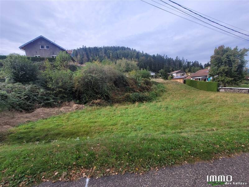 1295m² Land in Le Syndicat, France No. 79256