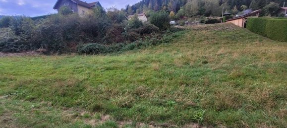 1295m² Land in Le Syndicat, France No. 79256 3