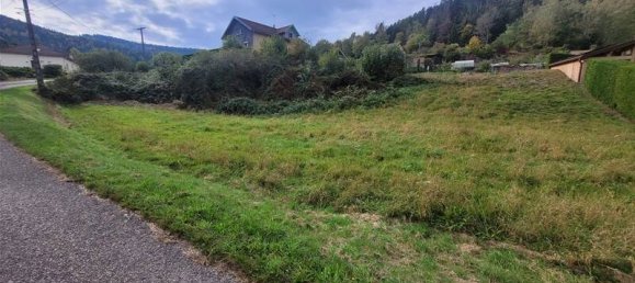 1295m² Land in Le Syndicat, France No. 79256 2