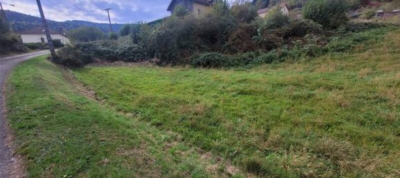1295m² Land in Le Syndicat, France No. 79256 4