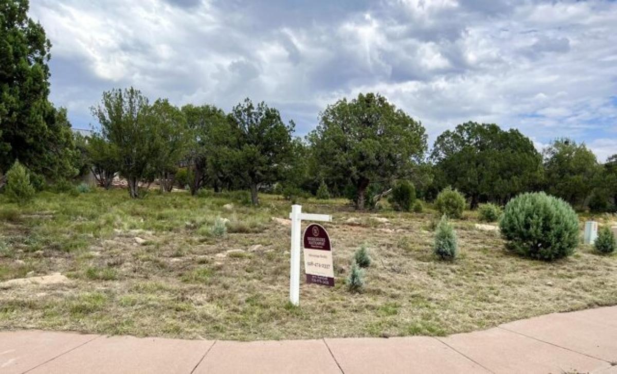  Land in Payson, USA No. 499486