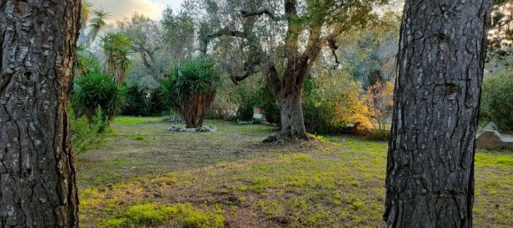 4غرفة فيلا في San Vito dei Normanni, Italy رقم 166062 25