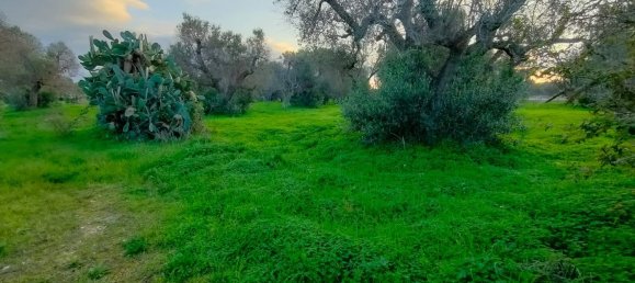 4غرفة فيلا في San Vito dei Normanni, Italy رقم 166062 23