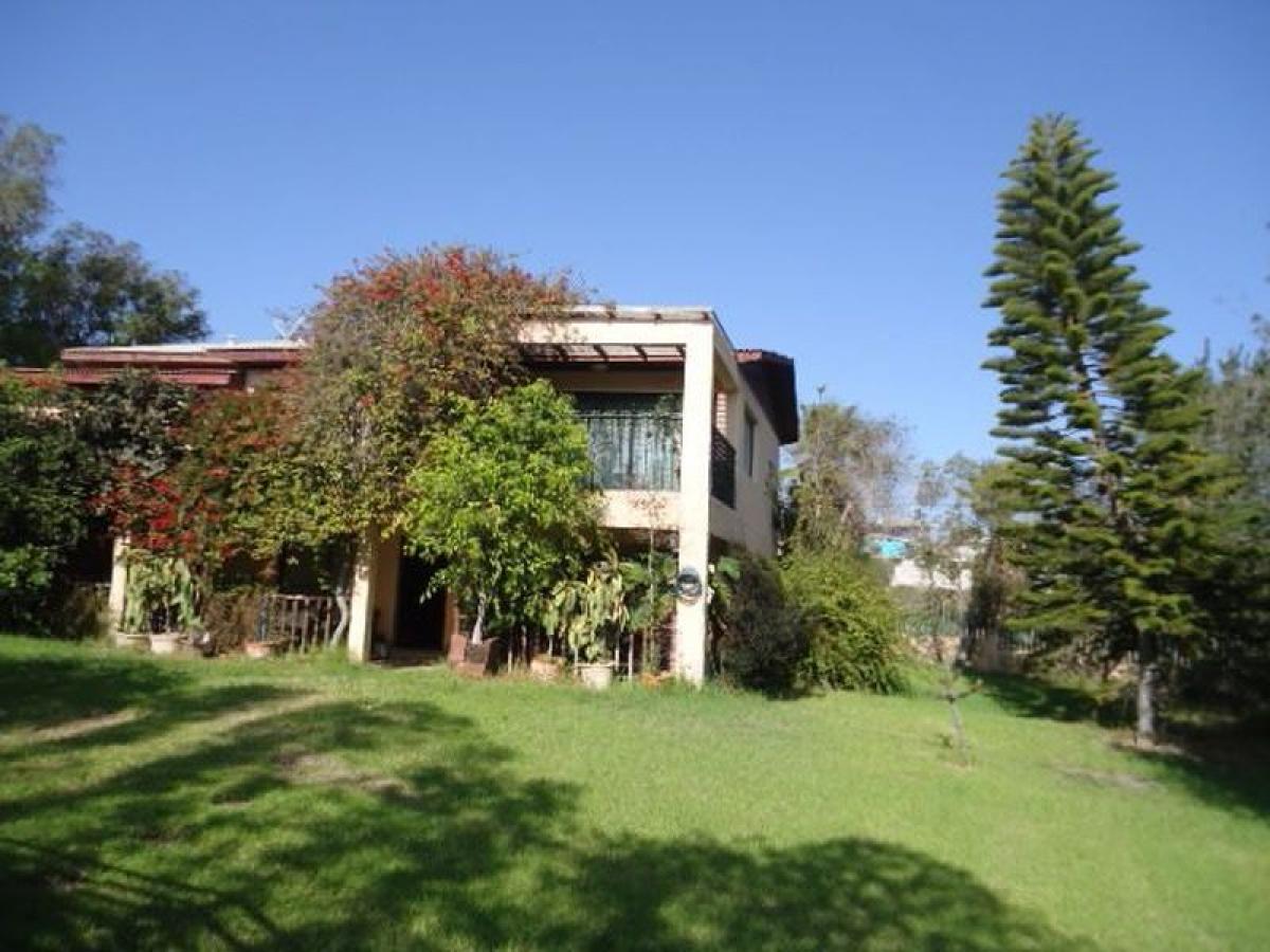 5 bedrooms House in Coquimbo, Chile No. 2594