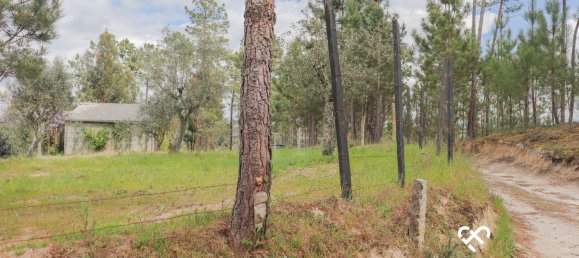  Land in Silgueiros, Portugal No. 64935 24