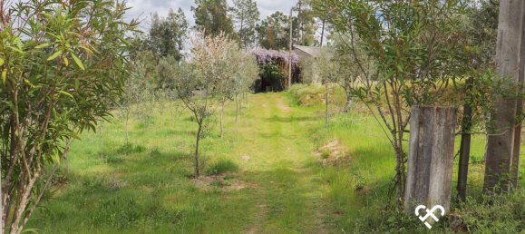  Land in Silgueiros, Portugal No. 64935 17