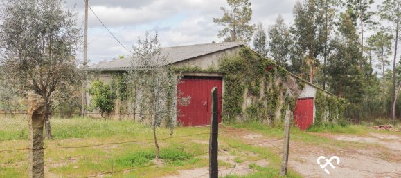  Land in Silgueiros, Portugal No. 64935 9