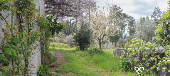  Land in Silgueiros, Portugal No. 64935 13