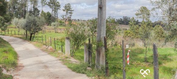  Land in Silgueiros, Portugal No. 64935 3