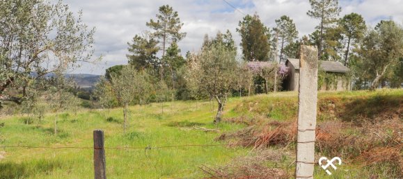  Land in Silgueiros, Portugal No. 64935 2