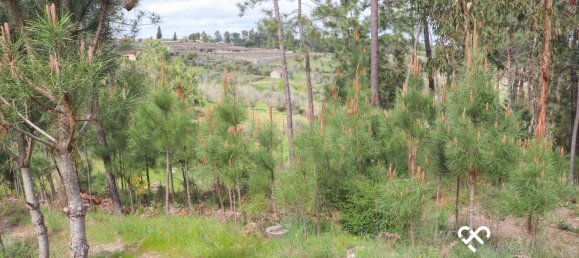  Land in Silgueiros, Portugal No. 64935 15