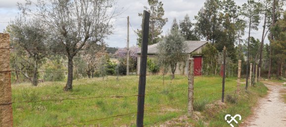  Land in Silgueiros, Portugal No. 64935 5