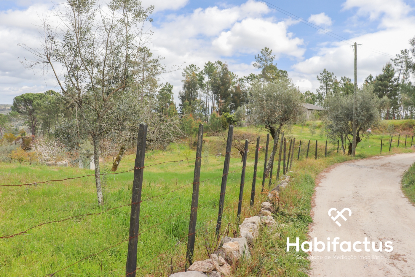  Land in Silgueiros, Portugal No. 64935