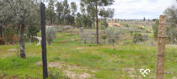  Land in Silgueiros, Portugal No. 64935 7