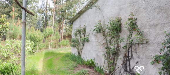  Land in Silgueiros, Portugal No. 64935 11