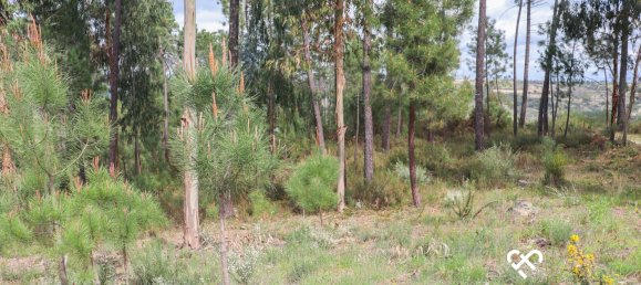  Land in Silgueiros, Portugal No. 64935 16