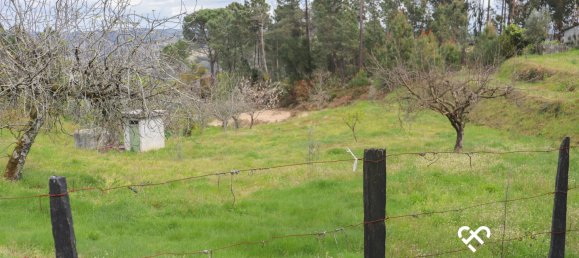  Land in Silgueiros, Portugal No. 64935 19