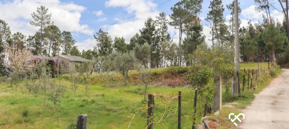  Land in Silgueiros, Portugal No. 64935 21