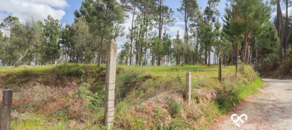  Land in Silgueiros, Portugal No. 64935 23
