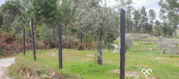  Land in Silgueiros, Portugal No. 64935 6