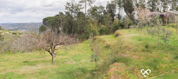  Land in Silgueiros, Portugal No. 64935 18