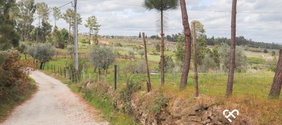  Land in Silgueiros, Portugal No. 64935 4