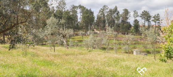  Land in Silgueiros, Portugal No. 64935 14