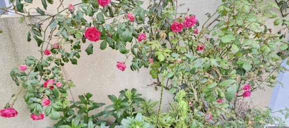 2 chambres Maison à Longuyon, France No. 270676 13