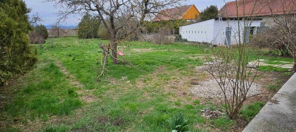 قطعة أرض في Zwentendorf an der Donau, Austria 1950متر مربع رقم 259975 29