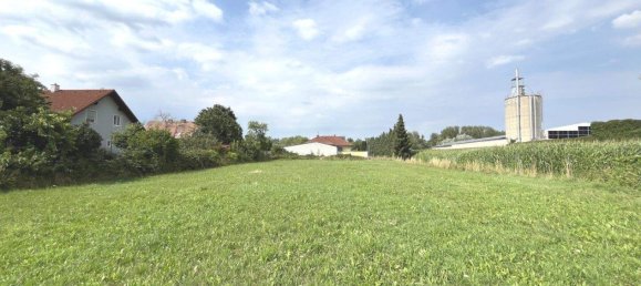 Земельный участок в Цвентендорф ан дер Донау, Австрия № 198390 2