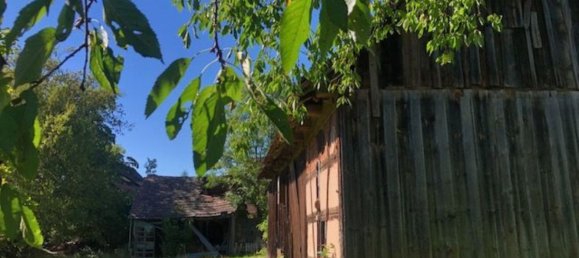 5-salle Maison à Neustadt an der Waldnaab, Germany No. 211022 7