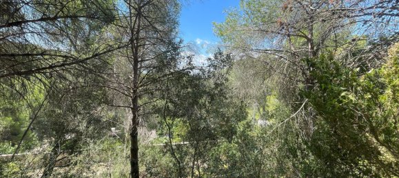 Земельный участок 1600м² в Тортоса, Испания № 179241 5