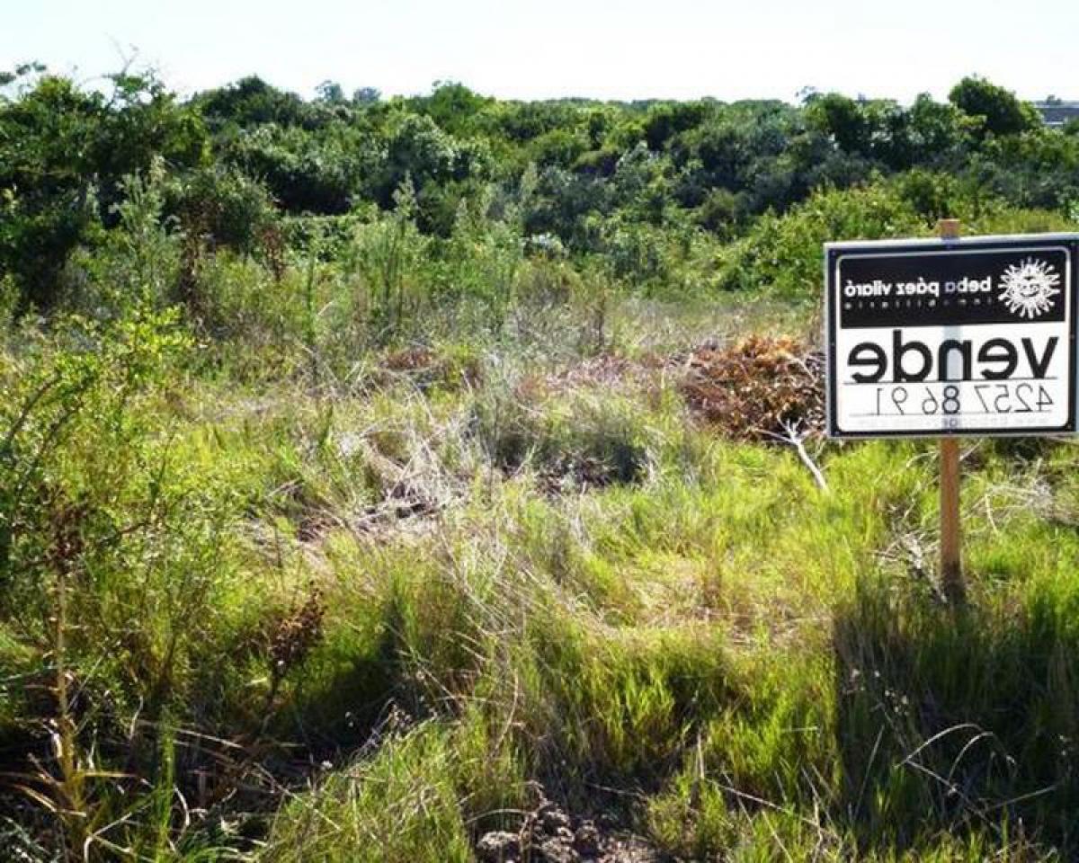 Terrain à Maldonado, Uruguay No. 15310