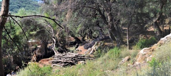 Hotel en Corfu, Greece 2500 m² No. 4128 5