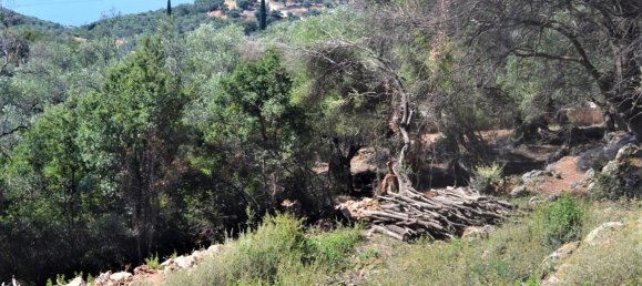 Hotel en Corfu, Greece 2500 m² No. 4128 2