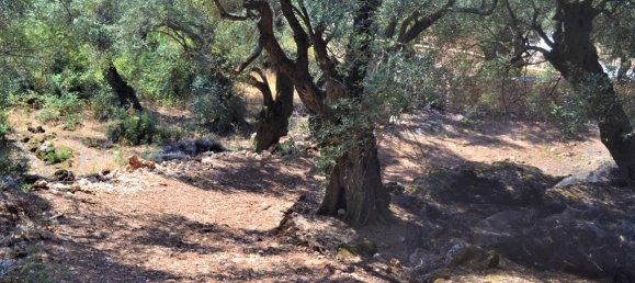 Hotel en Corfu, Greece 2500 m² No. 4128 8