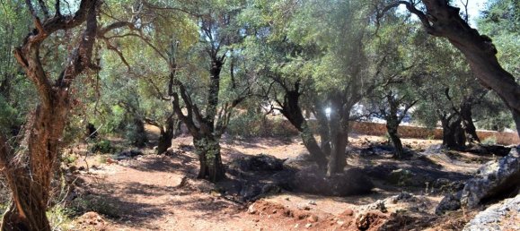 Hotel en Corfu, Greece 2500 m² No. 4128 4