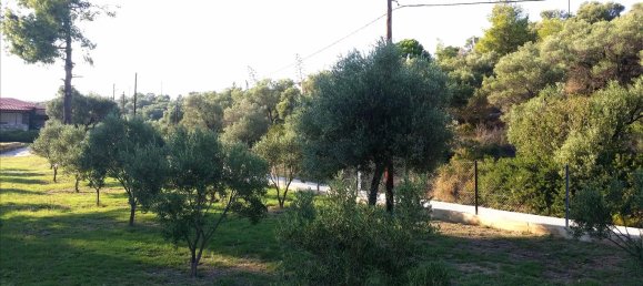 2 bedrooms Commercial property in Chalkidiki, Greece No. 8124 20