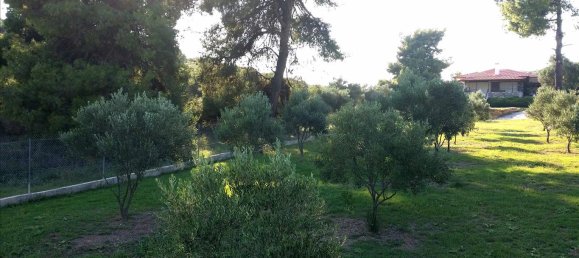 2 bedrooms Commercial property in Chalkidiki, Greece No. 8124 19