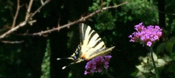 6-salle Maison à Mariatrost, Austria No. 237702 31