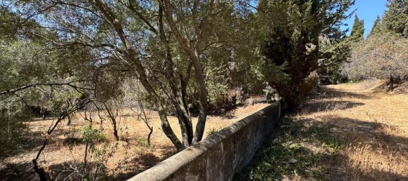 Terreno en San Roque, Spain 200 m² No. 148646 14