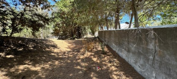 Terreno en San Roque, Spain 200 m² No. 148646 24