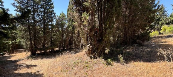 Terreno en San Roque, Spain 200 m² No. 148646 16