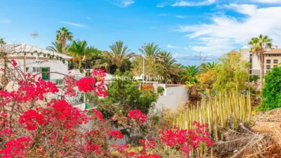 3 غرف نوم تاون هاوس في Adeje, Spain رقم 62189