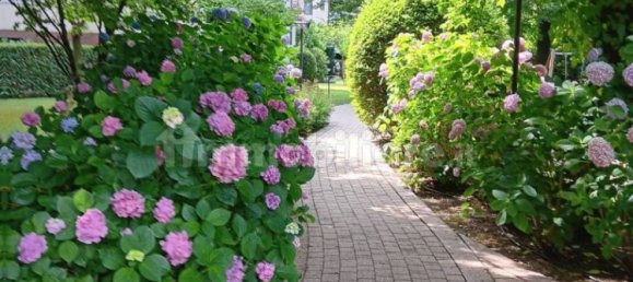 4 bedrooms Penthouse in Buccinasco, Italy No. 312992 8