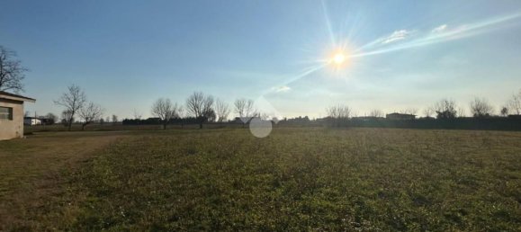 6700m² Land in Montichiari, Italy No. 81127 21