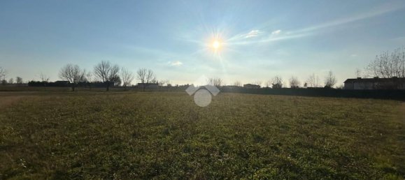 6700m² Land in Montichiari, Italy No. 81127 25