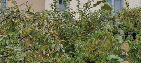 5 غرف نوم منزل في Deols, France رقم 51304 10